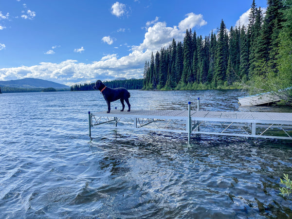 Straight Stationary Pipe Dock