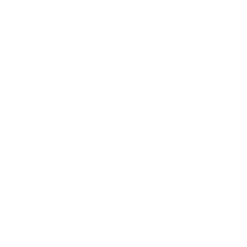 Patriot Docks Logo in all white